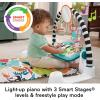 Fisher-Price Baby Playmat Glow and Grow Kick & Play Piano Gym, Pink Musical Learning Toy with Developmental Activities for Newborns 0+ Months(Light Blue)