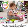 Fisher-Price Baby Playmat Glow and Grow Kick & Play Piano Gym, Pink Musical Learning Toy with Developmental Activities for Newborns 0+ Months(Pink)