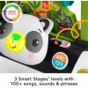 Fisher-Price Baby Push Toy 2-Sided Steady Speed Panda Walker Musical Learning Activity with 3 Blocks for Infants Ages 6+ Months (Amazon Exclusive)(Panda Walker)