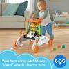 Fisher-Price Baby Push Toy 2-Sided Steady Speed Panda Walker Musical Learning Activity with 3 Blocks for Infants Ages 6+ Months (Amazon Exclusive)(Panda Walker)
