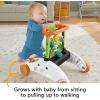Fisher-Price Baby Push Toy 2-Sided Steady Speed Panda Walker Musical Learning Activity with 3 Blocks for Infants Ages 6+ Months (Amazon Exclusive)(Panda Walker)
