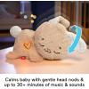 Fisher-Price Baby Sound Machine Soothe & Settle Bunny Portable Plush Toy with Music, Lights & Motion for Newborns(Bunny)