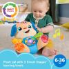 Fisher-Price Baby Toy Laugh & Learn Smart Stages Sis Musical Plush with Lights & Learning Songs for Infants Ages 6+ Months(Puppy – Multilanguage)