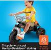 Fisher-Price Toddler Tricycle Harley-Davidson Tough Trike, Toy Bike with Handlebar Grips & Storage for Outdoor Play Kids Ages 2+ Years (Amazon Exclusive)(Harley – Davidson)