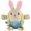 Fisher-Price Toddler Educational Toy Learn to Dress Bunny Plush Animal Activity Doll for Preschool Kids Ages 2+ Years