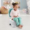 Fisher-Price™ 3-in-1 Toddler Toilet Training Potty Chair and Step Stool, with Removable Toilet Ring
