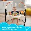 Fisher-Price Baby Bouncer Colorful Corners Jumperoo Activity Center with Music Lights Sounds & Developmental Toys(Multicolor)