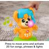 Fisher-Price Baby Learning Toy Link Squad Opposites Fox with Music & Lights for Ages 9+ Months, Compatible Only with Link Squad Items