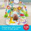 Fisher-Price Baby Playmat Deluxe Kick & Play Piano Gym for Learning & 2 Maracas Soft Rattles for Newborn to Toddler Play Ages 0+ Months(Green)