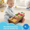 Fisher-Price Baby Toy Hide & Peek Pop-Up Animal-Themed Sensory Activity with Wood Accents & Sounds for Ages 9+ Months (Amazon Exclusive)