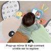 Fisher-Price Baby Tummy Time Toy, Puppy Perfection Giant Play Mat with Sensory Development Activities for Newborns 0+ Months (Amazon Exclusive)