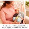 Fisher-Price Newborn Baby Kit Let’s Snuggle & Play Set, Developmental Toys with Activity Guide for Infants Ages 0+ Months(3-6 Months)