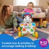 Fisher-Price Newborn Baby Kit Let’s Snuggle & Play Set, Developmental Toys with Activity Guide for Infants Ages 0+ Months(9-12 Month)