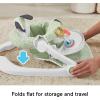 Fisher-Price Portable Baby Chair Sit-Me-Up Floor Seat with Snack Tray and Developmental Toys, Puppy Perfection