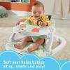 Fisher-Price Portable Baby Chair Sit-Me-Up Floor Seat with Snack Tray and Developmental Toys, Puppy Perfection