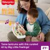 Fisher-Price Toddler Toys Big Little Feelings Calm Down Kit, 4-Piece Set of Activities & Parenting Tips for Social Emotional Development Kids Ages 2+ Years