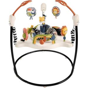 Fisher-Price Baby Bouncer Colorful Corners Jumperoo Activity Center with Music Lights Sounds & Developmental Toys(Multicolor)