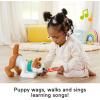 Fisher-Price Baby Learning Toy 123 Crawl with Me Puppy Musical Electronic Dog with Smart Stages for Infants Ages 6+ Months