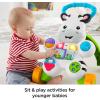 Fisher-Price Baby Push Toy Learn with Me Zebra Walker Musical Learning Activity with Lights & Fine Motor Play for Infants Ages 6+ Months (Amazon Exclusive)(Frustration-Free Packaging)