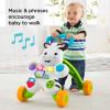 Fisher-Price Baby Push Toy Learn with Me Zebra Walker Musical Learning Activity with Lights & Fine Motor Play for Infants Ages 6+ Months (Amazon Exclusive)(Standard Packaging)