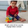 Fisher-Price Baby Toy Poppity Pop Dump Truck Push-Along Vehicle with Fine Motor Activities for Infants Ages 6+ Months(Multicolor)