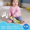 Fisher-Price Baby Toy Purple Monkey Musical Storybook with Lights & Sounds for Infants & Toddlers Ages 6+ Months