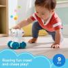 Fisher-Price Baby Toy Rollin’ Tractor Push-Along Vehicle with Fine Motor Activities for Infants Ages 6+ Months(Polar Bear)
