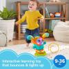 Fisher-Price Baby & Toddler Learning Toy DJ Bouncin’ Beats with Music Lights & Bouncing Action for Ages 9+ Months(Blue)