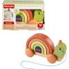 Fisher-Price Wood Toddler Toy Pull-Along Stacking Snail, Tiny Garden 6-Piece Wooden Activity for Motor Skill Development Kids Ages 18+ Months (Amazon Exclusive)