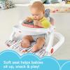 Fisher-Price Portable Baby Chair Premium Sit-Me-Up Floor Seat with Snack Tray, Toy Bar & Plush Washable Seat Pad, Peek-a-Boo Fox(1 Count (Pack of 1))