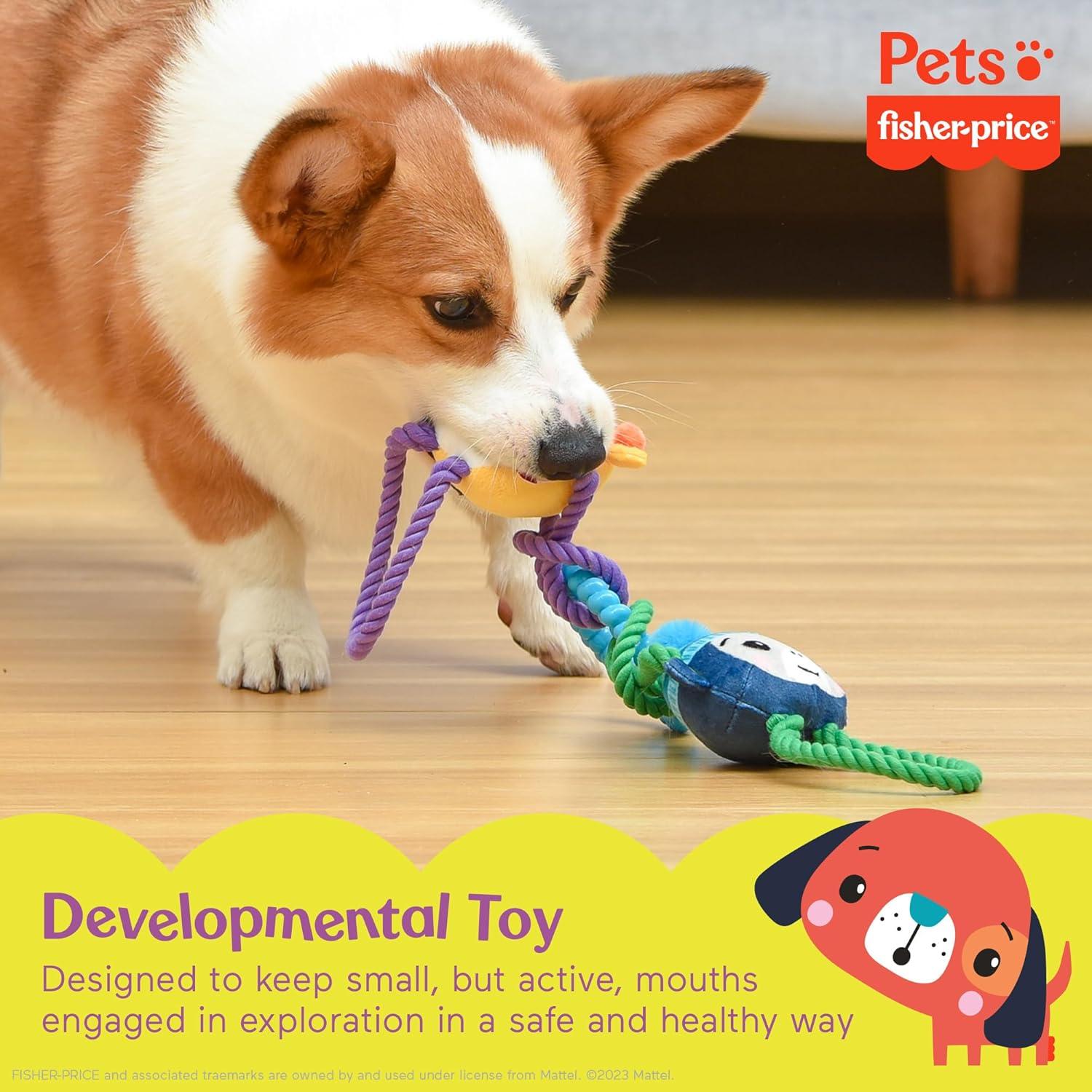 imageFisherPrice for Pets ColorBites Flip Stick MultiFunction Puppy Teething Toy Treat Hide Toy for Puppies Fetch Dog Toy Tug Dog Toy Enrichment Dog ToyTugs with Friends