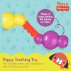 Fisher-Price for Pets ColorBites Flip Stick Multi-Function Puppy Teething Toy – Treat Hide Toy for Puppies – Fetch Dog Toy, Tug Dog Toy, Enrichment Dog Toy(ColorBites Flip Stick)
