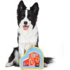 Fisher-Price for Pets ColorBites Flip Stick Multi-Function Puppy Teething Toy – Treat Hide Toy for Puppies – Fetch Dog Toy, Tug Dog Toy, Enrichment Dog Toy(Chicken Coop Rip N Reveal Dog Toy)