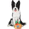 Fisher-Price for Pets ColorBites Flip Stick Multi-Function Puppy Teething Toy – Treat Hide Toy for Puppies – Fetch Dog Toy, Tug Dog Toy, Enrichment Dog Toy(Veggie Treat Puzzle)