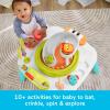 Fisher-Price Baby to Toddler Toy 3-in-1 Musical Moments Activity Center & Play Table with Music Lights & Developmental Activities(Purple Monkey)