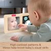 Fisher-Price Wood Baby Toy Tummy Time Panel, Newborn Sensory Activity with Mirror & High Contrast Designs for Infants Ages 0+ Months