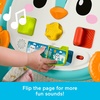 Fisher-Price Baby Push Toy Musical Penguin Walker, 2-in-1 Infant to Toddler Activity Play for Motor Skills Development Ages 6+ Months