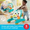 Fisher-Price Baby Push Toy Musical Penguin Walker, 2-in-1 Infant to Toddler Activity Play for Motor Skills Development Ages 6+ Months