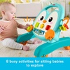 Fisher-Price Baby Push Toy Musical Penguin Walker, 2-in-1 Infant to Toddler Activity Play for Motor Skills Development Ages 6+ Months