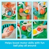 Fisher-Price Baby Push Toy Turtle Walker Moves with You, 5 Balls, Infant to Toddler Activity for Motor Skills Development Ages 6+ Months