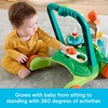 Fisher-Price Baby Push Toy Turtle Walker Moves with You, 5 Balls, Infant to Toddler Activity for Motor Skills Development Ages 6+ Months