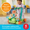 Fisher-Price Baby Push Toy Turtle Walker Moves with You, 5 Balls, Infant to Toddler Activity for Motor Skills Development Ages 6+ Months