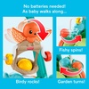 Fisher-Price Baby Push Toy Turtle Walker Moves with You, 5 Balls, Infant to Toddler Activity for Motor Skills Development Ages 6+ Months